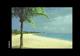South Sea